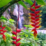 Banana Khoang Si waterfall